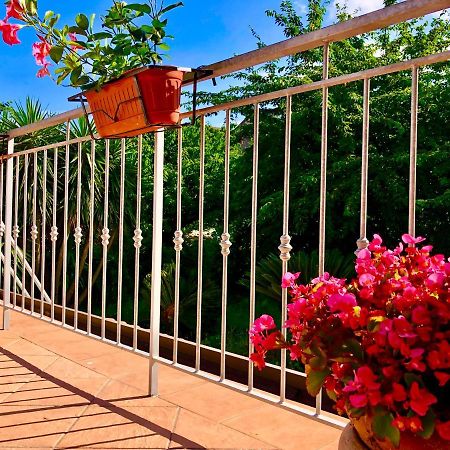 Il Ciliegio Villa Stella Cilento Bagian luar foto
